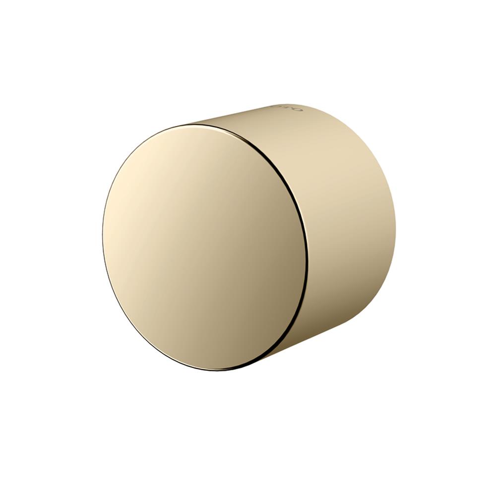 ข้อต่อฝักบัว TOTO TBW07020T-PFG สีทอง