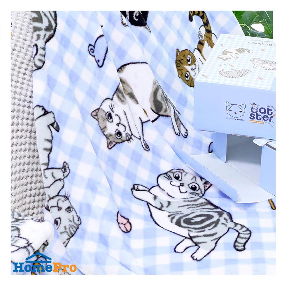 ผ้าห่ม TULIP ทูนหัวของบ่าว 40x60 นิ้ว 02106-TFG37