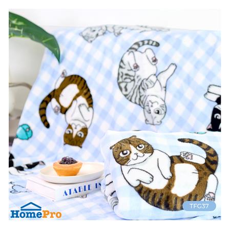 ผ้าห่ม TULIP ทูนหัวของบ่าว 40x60 นิ้ว 02106-TFG37_8