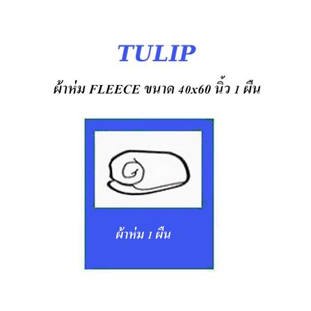 ผ้าห่ม TULIP ทูนหัวของบ่าว 40x60 นิ้ว 02106-TFG37_9