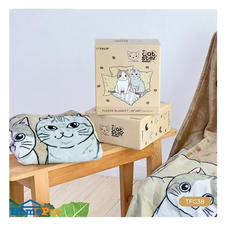 ผ้าห่ม TULIP ทูนหัวของบ่าว 40x60 นิ้ว 02106-TFG38_7