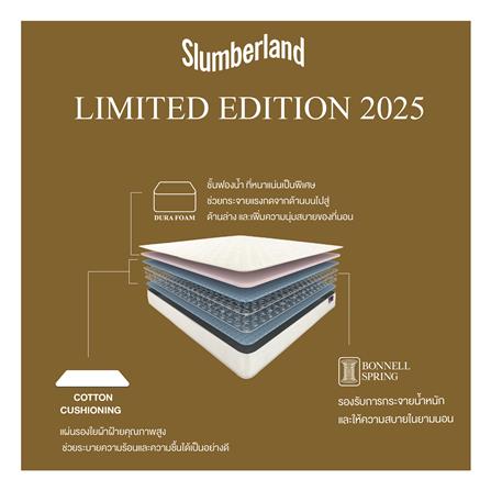 ที่นอน 5 ฟุต SLUMBERLAND LIMITED EDITION_6