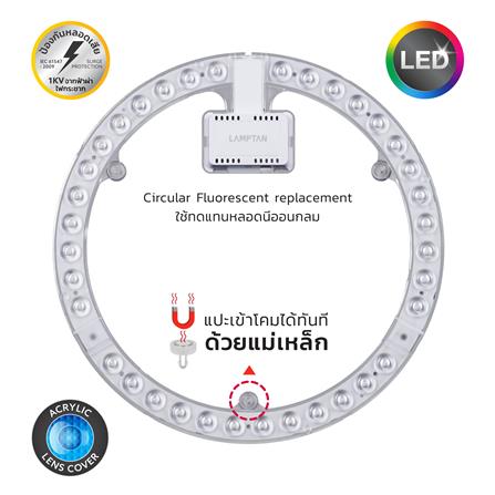 หลอด LED LAMPTAN LENS MODULE DESERVE 26 วัตต์ DAYLIGHT_5