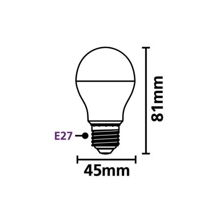 หลอด LED SYLVANIA G45 BASIC PLUS 5 วัตต์ DAYLIGTH E27_3