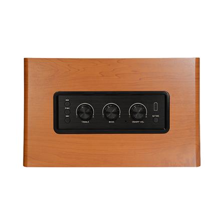 ลำโพงบลูทูธพกพา AIWA MI-X135 สีน้ำตาล_3