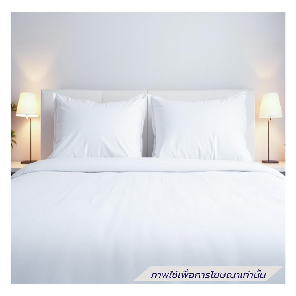 ผ้าปูที่นอน 6 ฟุต ERGOTREND สีขาว