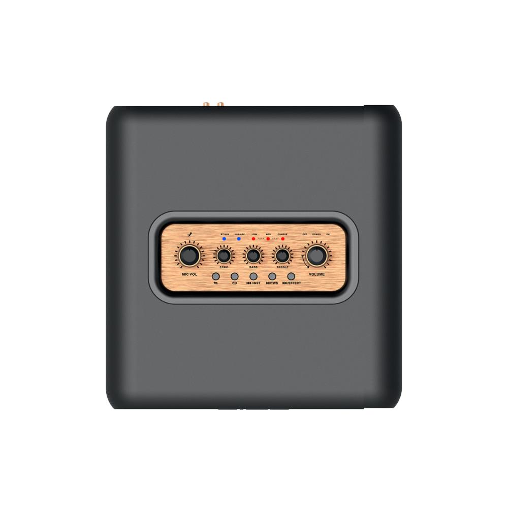 ลำโพงบลูทูธพกพา AIWA AW-R9500 สีดำ