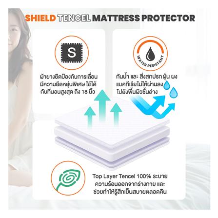 ผ้าปูที่นอน 5 ฟุต ERGOTREND สีขาว_6