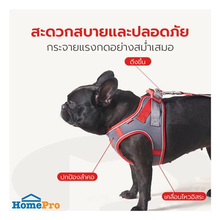 สายจูง PETSTAR PSRY0071 SIZE M สีเทา_2
