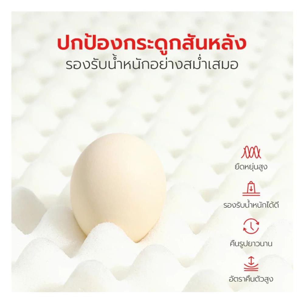 เบาะรองนั่ง PETSTAR PSRW0520 ไซส์ M สีเขียว-ขาว