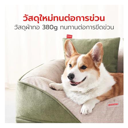เบาะรองนั่ง PETSTAR PSRW0520 ไซส์ M สีเขียว-ขาว_2