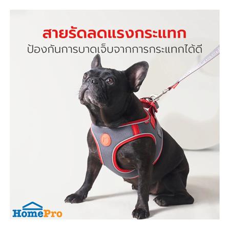 สายจูง PETSTAR PSRY0071 SIZE S สีเทา_1