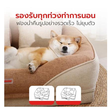 เบาะรองนั่ง PETSTAR ไซซ์ L สีเขียว_3