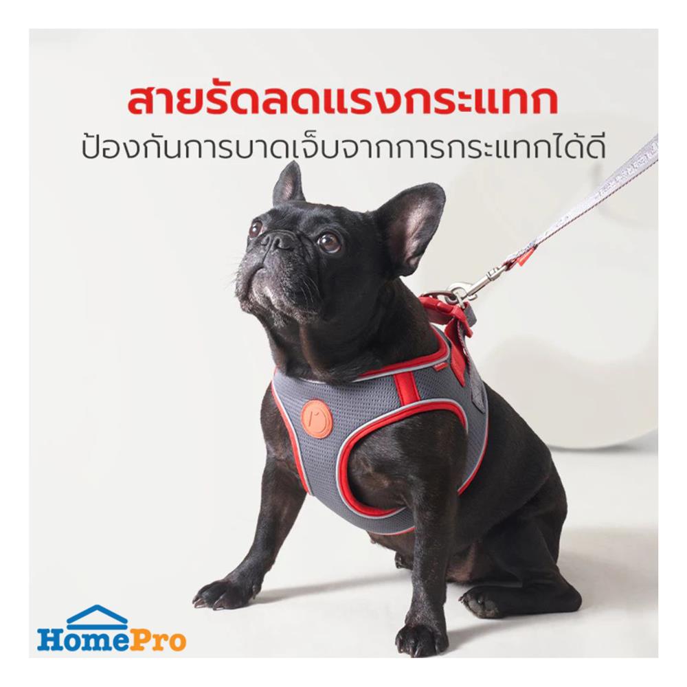 สายจูง PETSTAR PSRY0071 SIZE L สีเทา