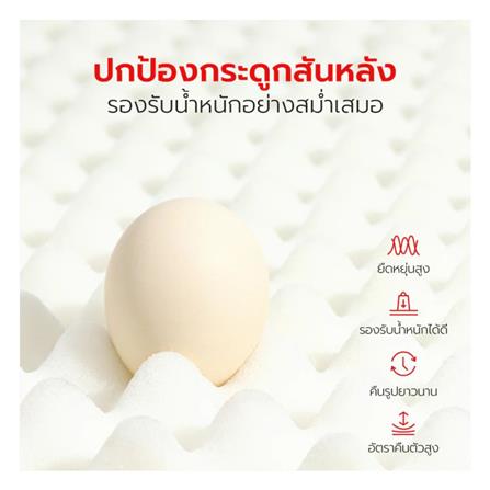 เบาะรองนั่ง PETSTAR PSRW0472 สีเขียว_6