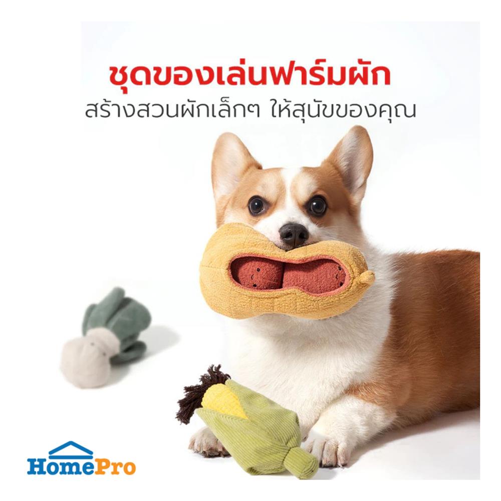 ของเล่นสุนัข PETSTAR PSTR0452 3 ชิ้น
