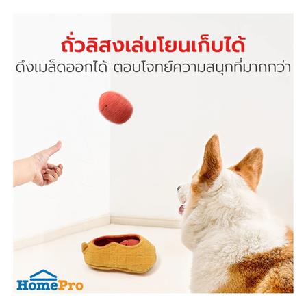 ของเล่นสุนัข PETSTAR PSTR0452 3 ชิ้น_4