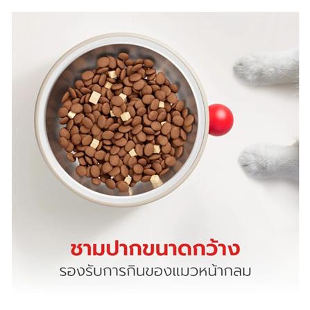 ชามอาหารสัตว์เลี้ยง PETSTAR PSRQ0205 สีน้ำตาล_5