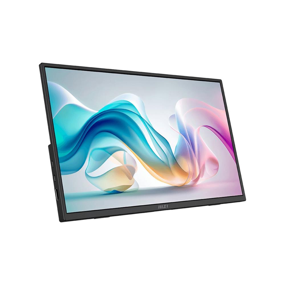 จอมอนิเตอร์ 16 นิ้ว MSI PRO MP165 E6