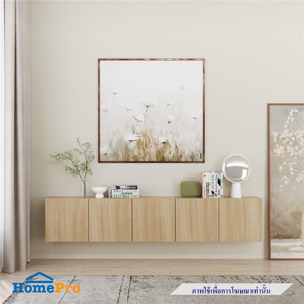 ตู้แขวนผนัง SB BUILT IN 19239341 WISEST 300 ซม. สีโอ๊ค