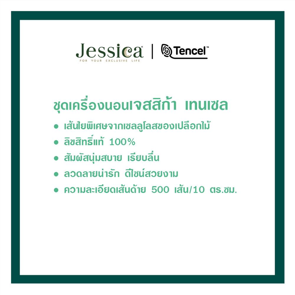 ชุดผ้าปูที่นอน 6 ฟุต (ชุด 6 ชิ้น) JESSICA BAMBI 20209-T028