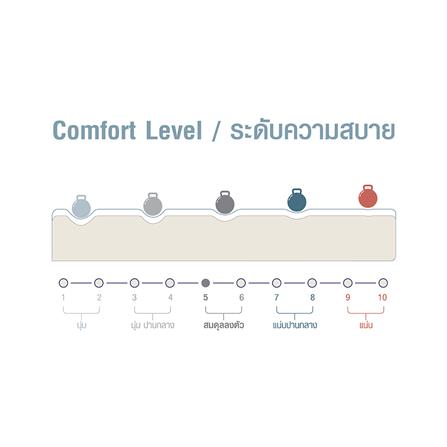 ที่นอน 5 ฟุต SERA GRANDE HARMONY_5