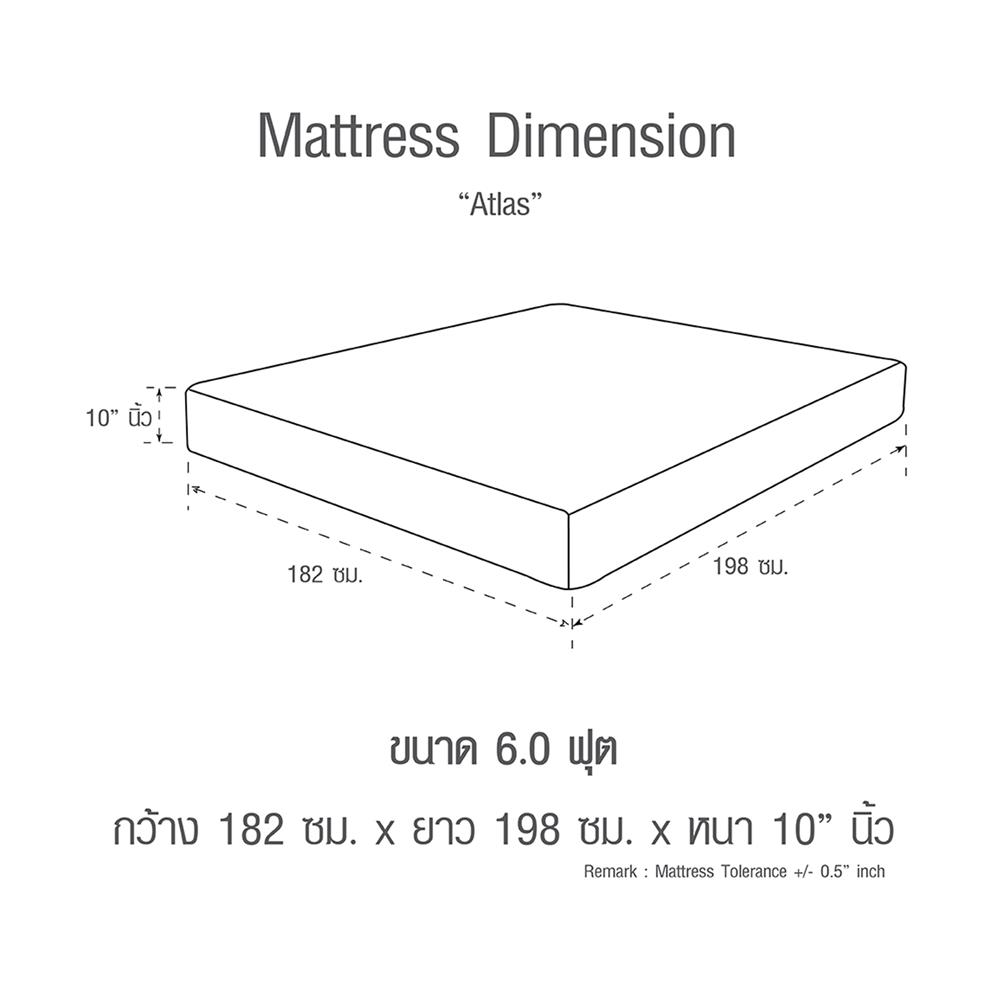 ที่นอน 6 ฟุต SERA ATLAS