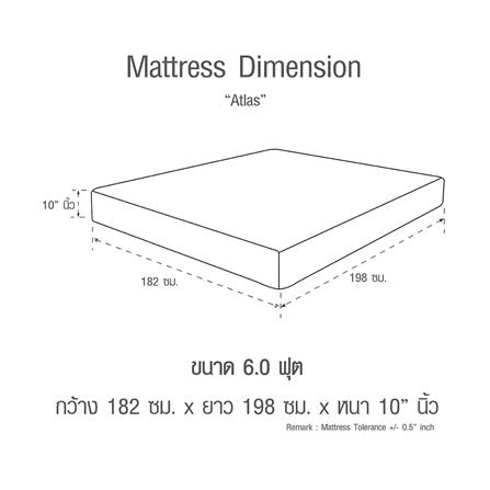 ที่นอน 6 ฟุต SERA ATLAS_6