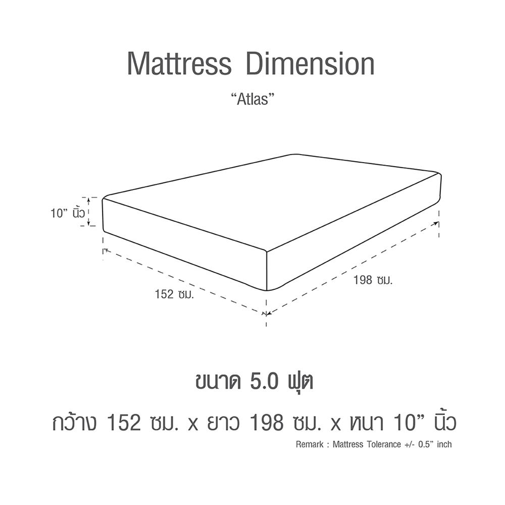 ที่นอน 5 ฟุต SERA ATLAS