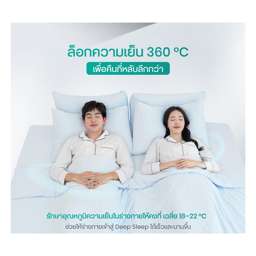 ชุดผ้าปูที่นอน 6 ฟุต (ชุด 5 ชิ้น) BEWELL COOLING สี GREY