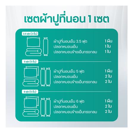 ชุดผ้าปูที่นอน 6 ฟุต (ชุด 5 ชิ้น) BEWELL COOLING สี GREY_7
