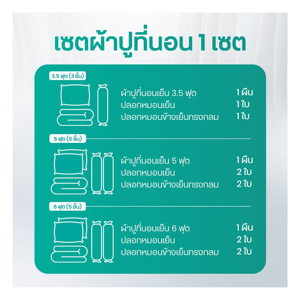 ชุดผ้าปูที่นอน 5 ฟุต (ชุด 5 ชิ้น) BEWELL COOLING สี GREY