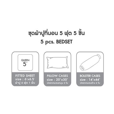 ชุดผ้าปูที่นอน 5 ฟุต (ชุด 5 ชิ้น) LOTUS ATTITUDE NORDEN NORDIC PINSTRIPE_7