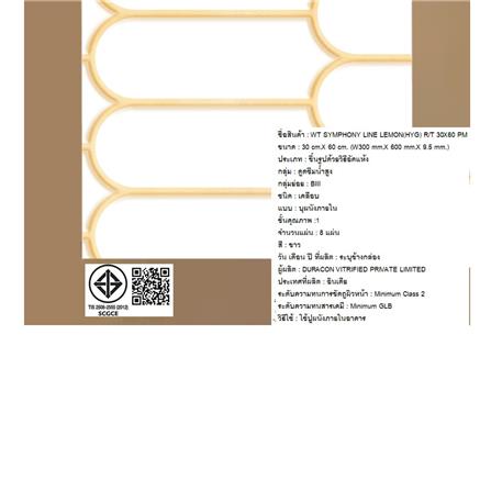 กระเบื้องผนัง 30x60 ซม. COTTO ซิมโฟนี ไลน์ เลมอน ขาว HYG PM 1.44 ตร.ม_2