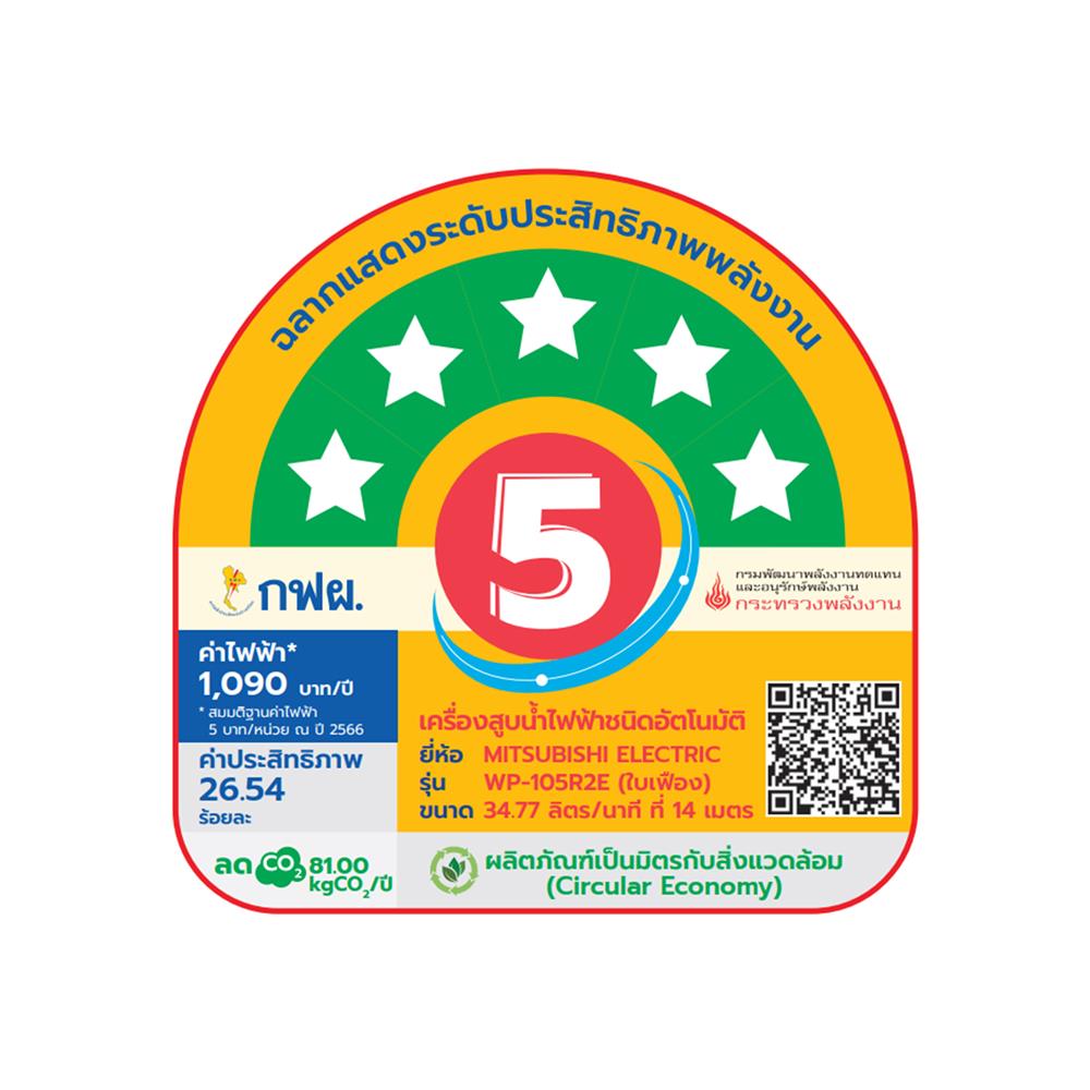 ปั๊มอัตโนมัติ MITSUBISHI WP-105R2E 100 วัตต์