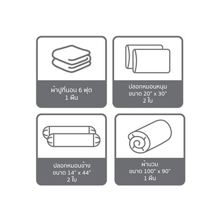 ชุดผ้าปูที่นอน 6 ฟุต (ชุด 6 ชิ้น) SATIN PLUS PRINTED SERIES PP028_6