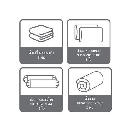 ชุดผ้าปูที่นอน 6 ฟุต (ชุด 6 ชิ้น) SATIN PLUS PRINTED SERIES PP031_6