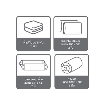 ชุดผ้าปูที่นอน 6 ฟุต (ชุด 6 ชิ้น) SATIN PLUS PRINTED SERIES PP036_5