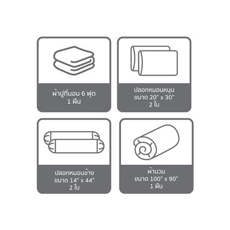 ชุดผ้าปูที่นอน 6 ฟุต (ชุด 6 ชิ้น) SATIN PLUS PRINED SERIES PP033_6