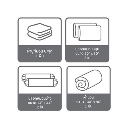 ชุดผ้าปูที่นอน 6 ฟุต (ชุด 6 ชิ้น) SATIN PLUS PRINTED SERIES PP037_6