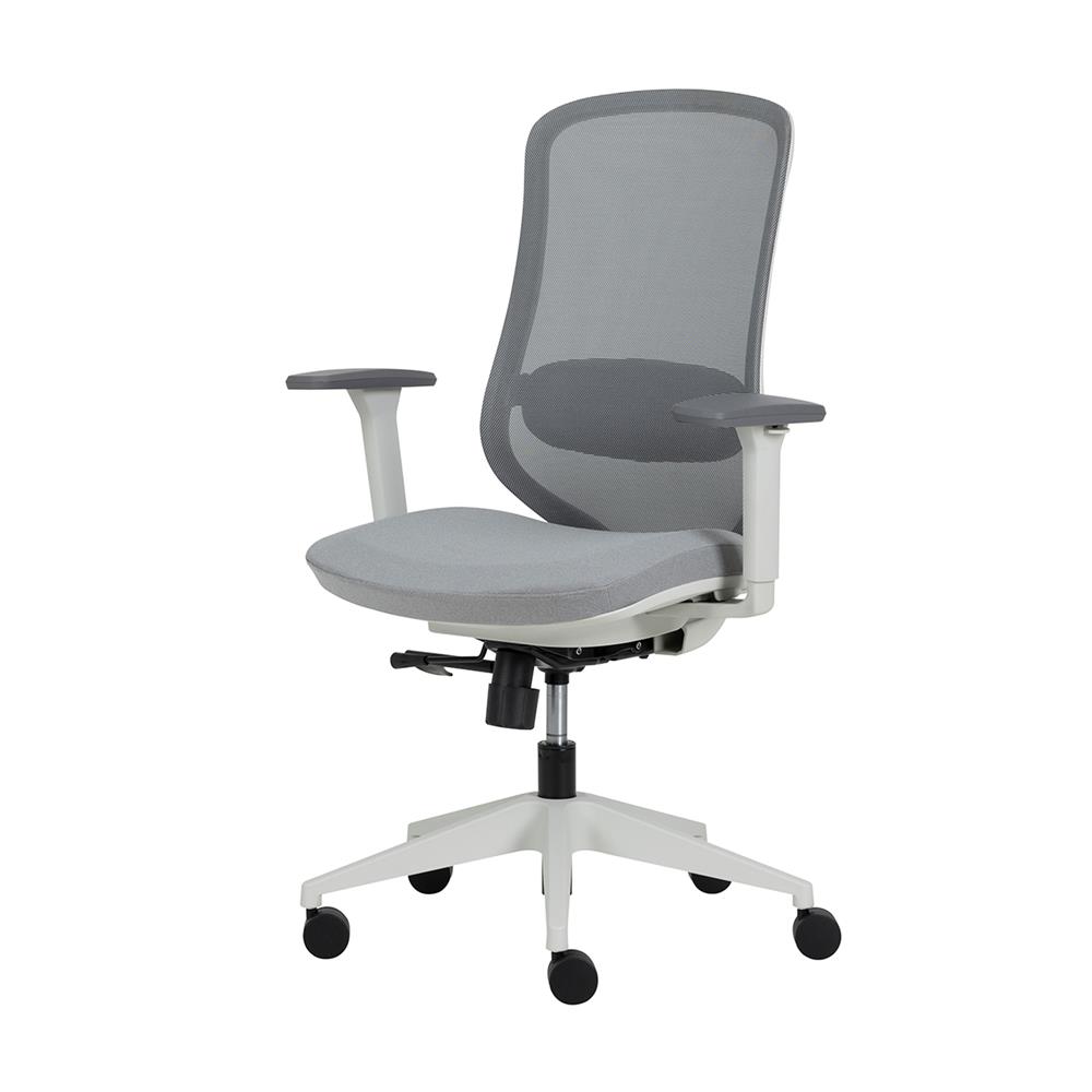 เก้าอี้สุขภาพ MODERNFORM LIMB สีเทา