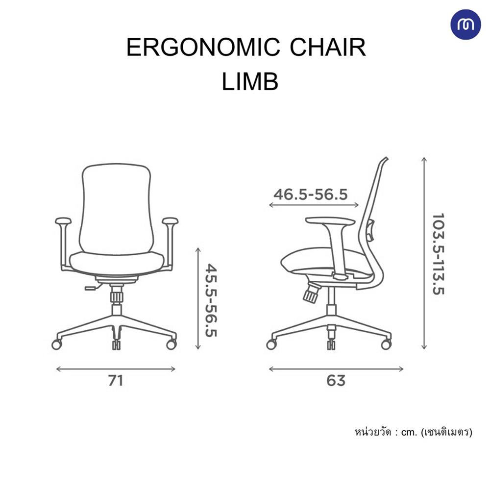 เก้าอี้สุขภาพ MODERNFORM LIMB สีเทา