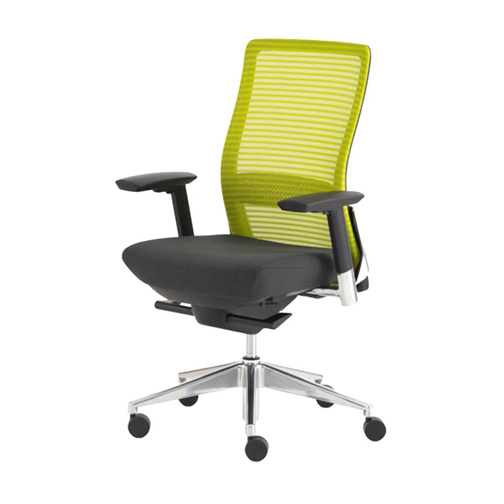เก้าอี้สุขภาพ MODERNFORM SERIES15S สีเขียว