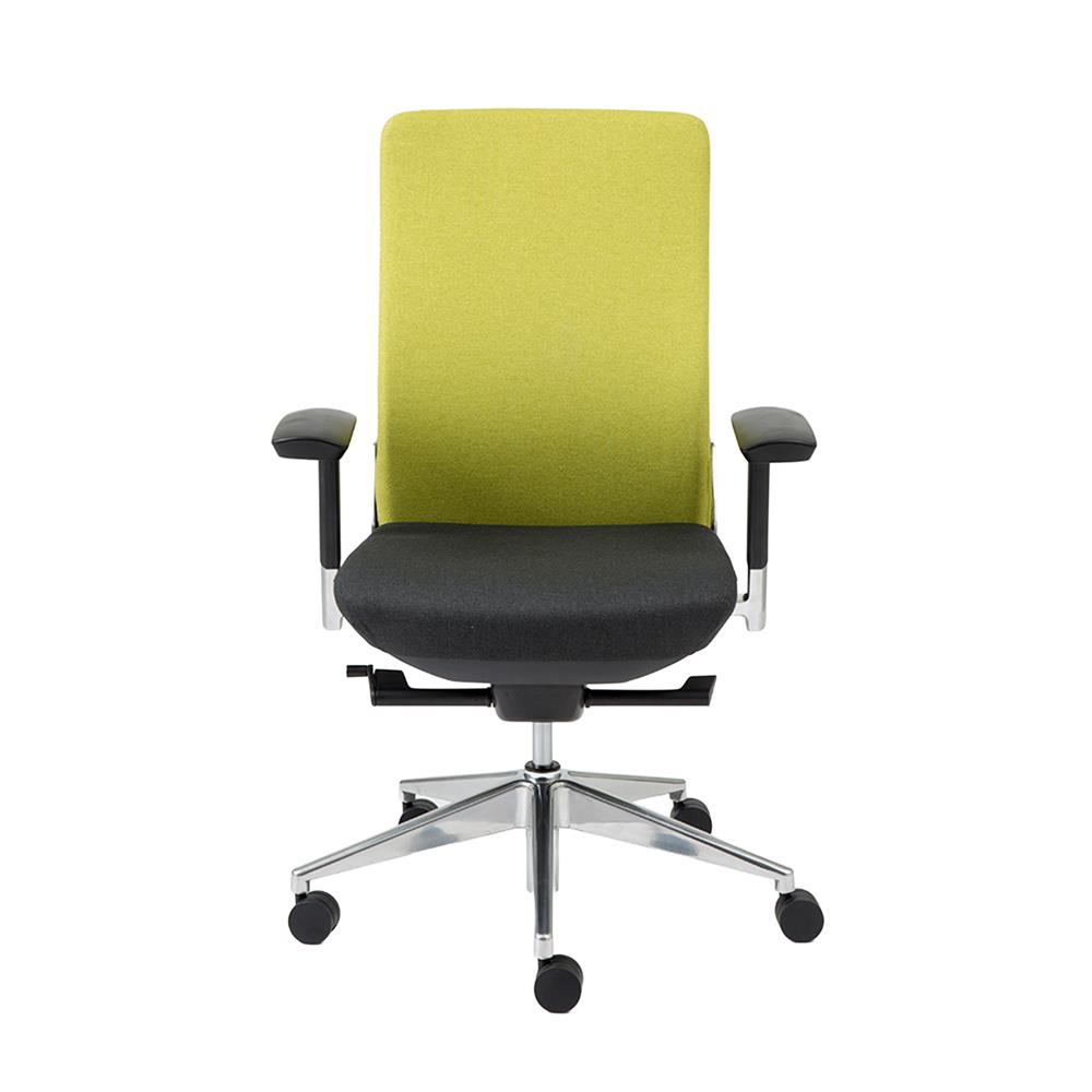 เก้าอี้สุขภาพ MODERNFORM SERIES 15S สีเขียว