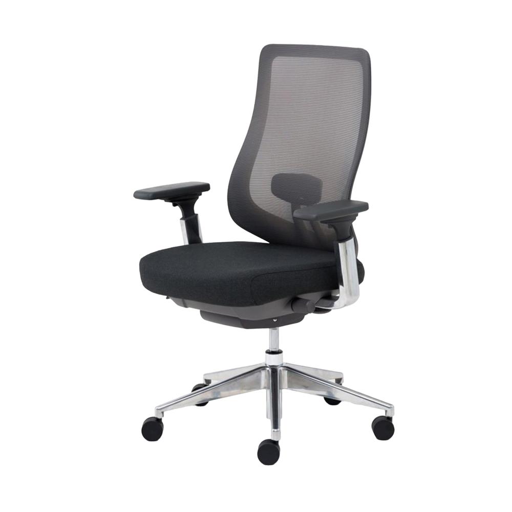 เก้าอี้สุขภาพ MODERNFORM SERIES 16 PREMIUM สีเทา