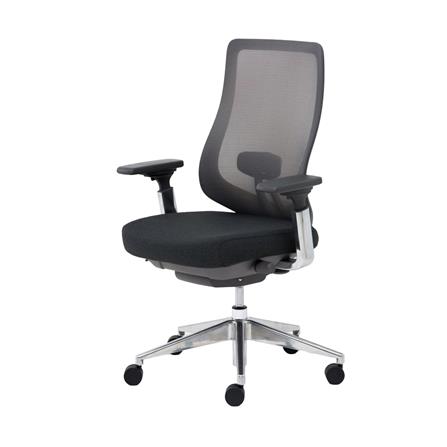 เก้าอี้สุขภาพ MODERNFORM SERIES 16 PREMIUM สีเทา_0
