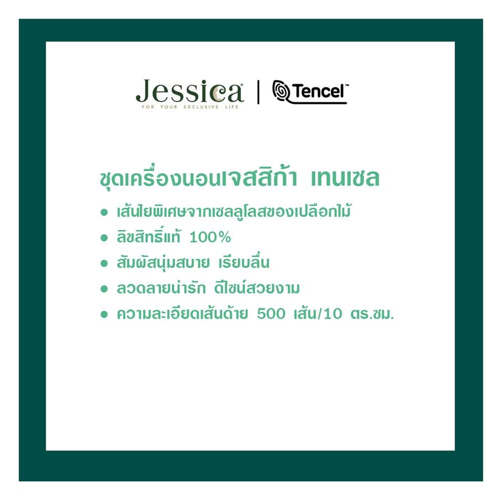ชุดผ้าปูที่นอน 3.5 ฟุต (ชุด 4 ชิ้น) JESSICA TENCEL 22052-T864