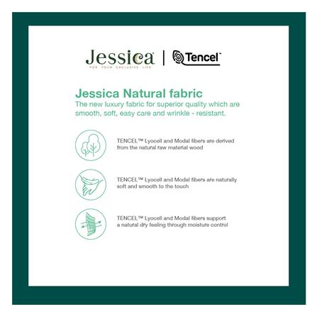 ชุดผ้าปูที่นอน 3.5 ฟุต (ชุด 4 ชิ้น) JESSICA TENCEL 22052-T864_6
