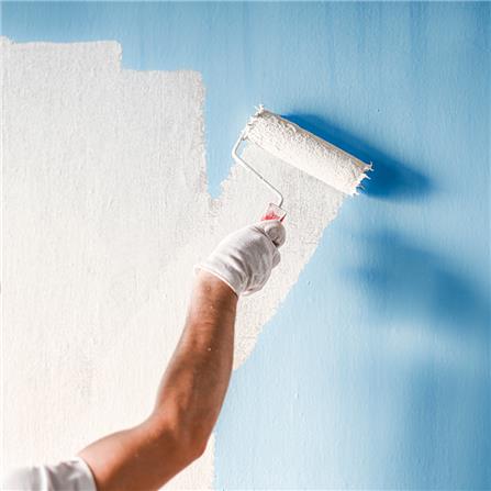 ทาสีน้ำพลาสติกภายในพื้นที่ไม่เกิน 10 ตร.ม._0