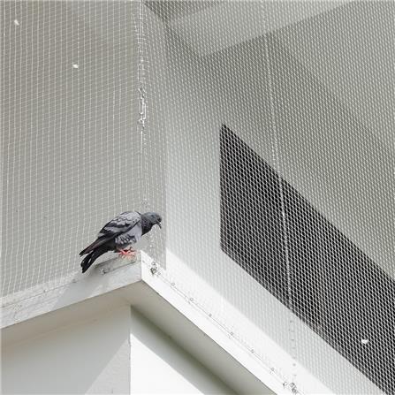 ติดตั้งตาข่ายกันนกแบบถาวรน้อยกว่า 6 ตร.ม._0